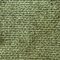 Vinci Olive 16