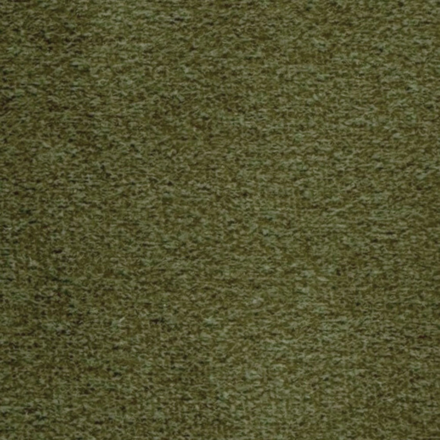 Vocal oliwkowy 11